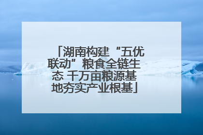 湖南构建“五优联动”粮食全链生态 千万亩粮源基地夯实产业根基