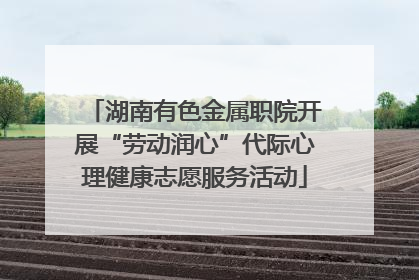 湖南有色金属职院开展“劳动润心”代际心理健康志愿服务活动