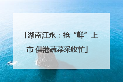 湖南江永：抢“鲜”上市 供港蔬菜采收忙