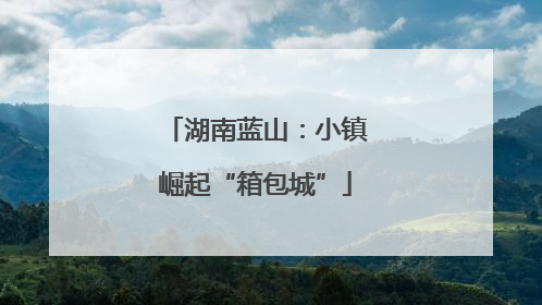 湖南蓝山：小镇崛起“箱包城”