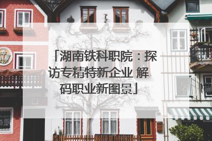 湖南铁科职院：探访专精特新企业 解码职业新图景