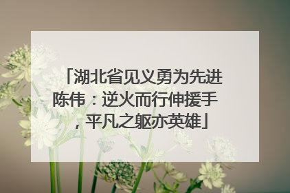 湖北省见义勇为先进陈伟：逆火而行伸援手，平凡之躯亦英雄