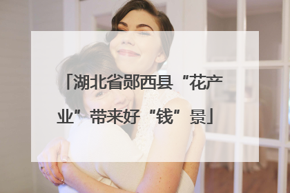 湖北省郧西县“花产业”带来好“钱”景