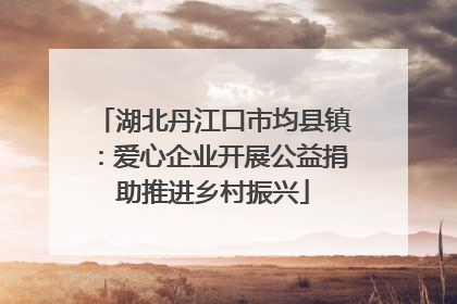 湖北丹江口市均县镇：爱心企业开展公益捐助推进乡村振兴