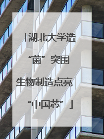湖北大学造“菌”突围 生物制造点亮“中国芯”