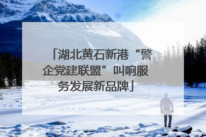 湖北黄石新港“警企党建联盟”叫响服务发展新品牌