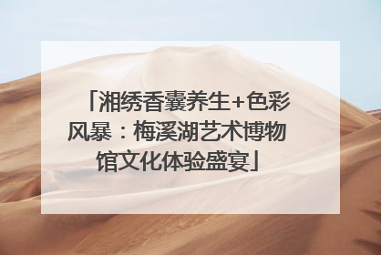 湘绣香囊养生+色彩风暴：梅溪湖艺术博物馆文化体验盛宴