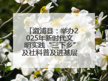溆浦县：举办2025年新时代文明实践“三下乡”及社科普及进基层主题活动