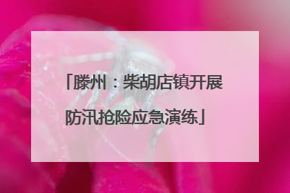 滕州：柴胡店镇开展防汛抢险应急演练
