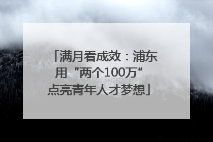 满月看成效：浦东用“两个100万”点亮青年人才梦想