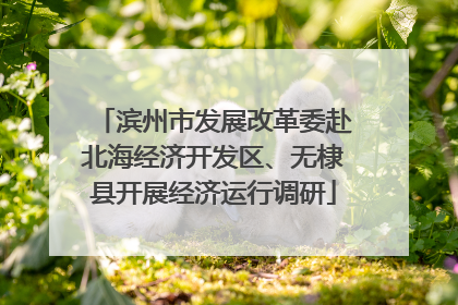 滨州市发展改革委赴北海经济开发区、无棣县开展经济运行调研