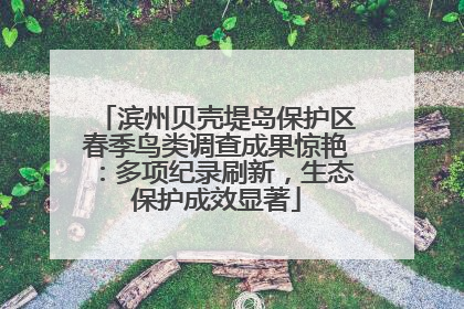 滨州贝壳堤岛保护区春季鸟类调查成果惊艳：多项纪录刷新，生态保护成效显著
