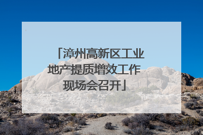 漳州高新区工业地产提质增效工作现场会召开
