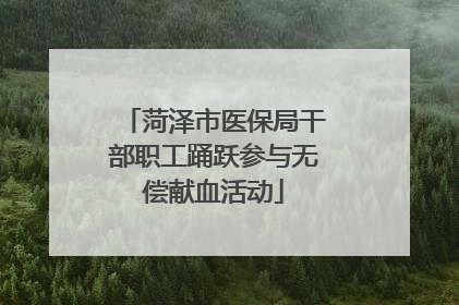 菏泽市医保局干部职工踊跃参与无偿献血活动