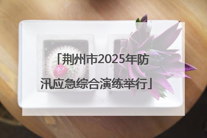 荆州市2025年防汛应急综合演练举行