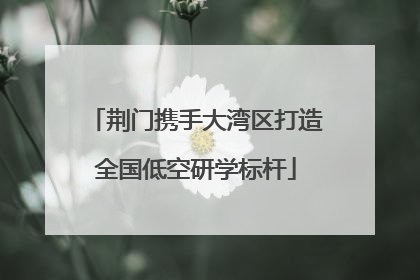 荆门携手大湾区打造全国低空研学标杆