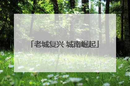 老城复兴 城南崛起
