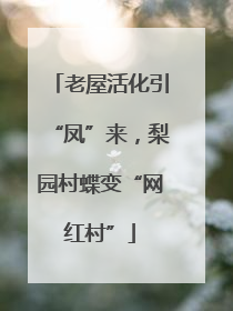 老屋活化引“凤”来，梨园村蝶变“网红村”