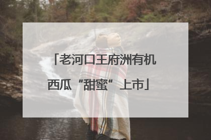 老河口王府洲有机西瓜“甜蜜”上市