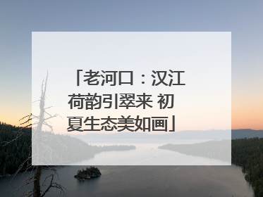 老河口：汉江荷韵引翠来 初夏生态美如画