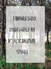 聊城启动12项行动计划扩大文旅消费空间
