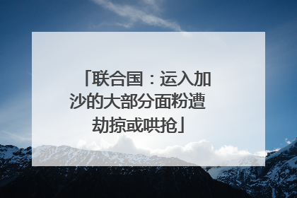 联合国：运入加沙的大部分面粉遭劫掠或哄抢
