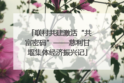联村共建激活“共富密码”——慈利甘堰集体经济振兴记