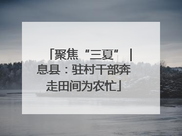 聚焦“三夏”｜息县：驻村干部奔走田间为农忙