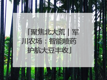 聚焦北大荒｜军川农场：智能喷药护航大豆丰收