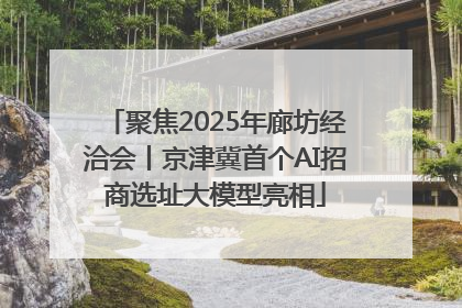 聚焦2025年廊坊经洽会丨京津冀首个AI招商选址大模型亮相