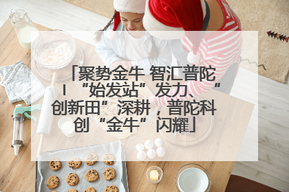 聚势金牛 智汇普陀〡“始发站”发力、“创新田”深耕，普陀科创“金牛”闪耀