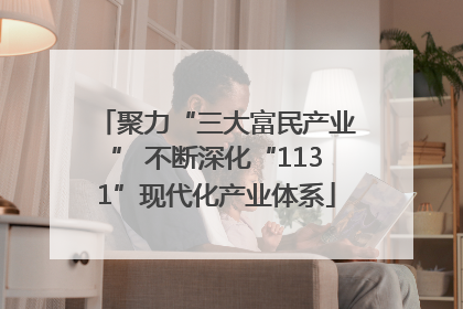 聚力“三大富民产业” 不断深化“1131”现代化产业体系