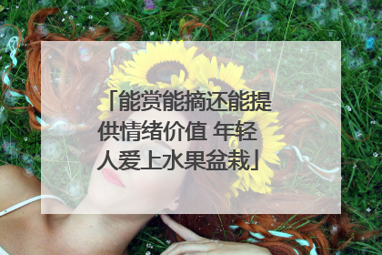 能赏能摘还能提供情绪价值 年轻人爱上水果盆栽