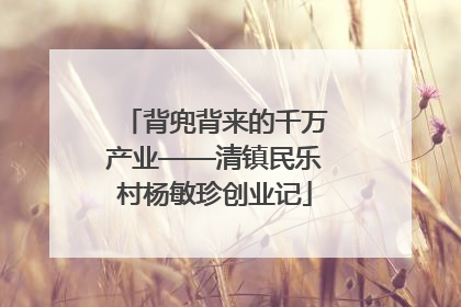 背兜背来的千万产业——清镇民乐村杨敏珍创业记