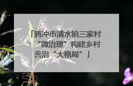 腾冲市清水镇三家村：“微治理”构建乡村善治“大格局”