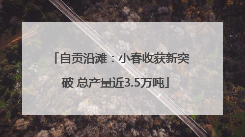 自贡沿滩：小春收获新突破 总产量近3.5万吨