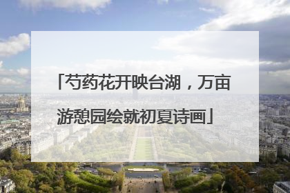 芍药花开映台湖，万亩游憩园绘就初夏诗画