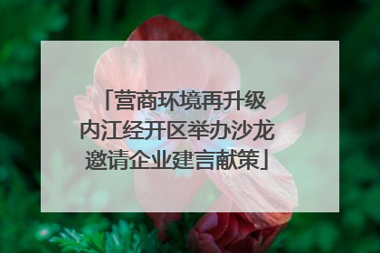 营商环境再升级 内江经开区举办沙龙邀请企业建言献策