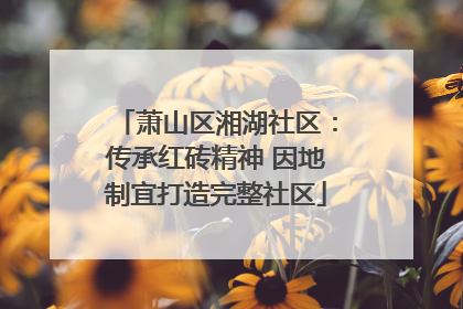 萧山区湘湖社区：传承红砖精神 因地制宜打造完整社区