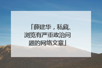 薛建华，私藏、浏览有严重政治问题的网络文章