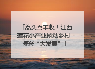 藠头喜丰收！江西莲花小产业撬动乡村振兴“大发展”