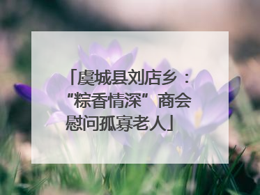 虞城县刘店乡：“粽香情深”商会慰问孤寡老人