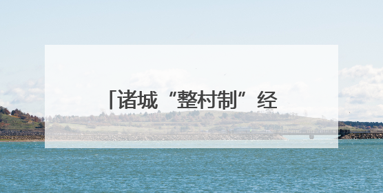 诸城“整村制”经营铺就富民强村路，合作社迎来大丰收