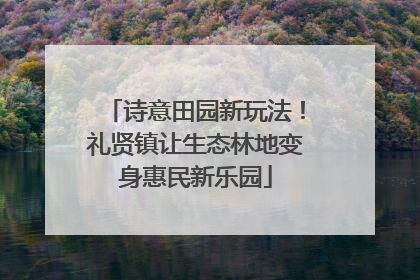 诗意田园新玩法！礼贤镇让生态林地变身惠民新乐园