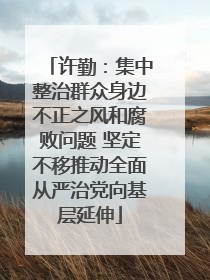 许勤：集中整治群众身边不正之风和腐败问题 坚定不移推动全面从严治党向基层延伸