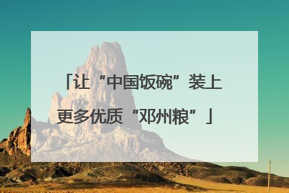 让“中国饭碗”装上更多优质“邓州粮”