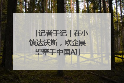 记者手记｜在小镇达沃斯，欧企展望牵手中国AI