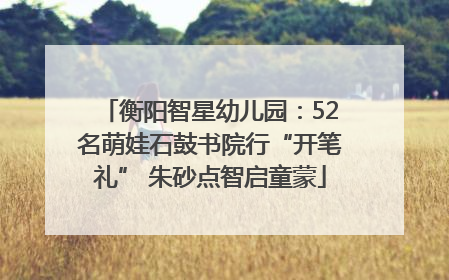 衡阳智星幼儿园：52名萌娃石鼓书院行“开笔礼” 朱砂点智启童蒙