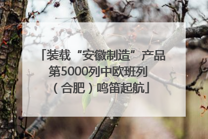 装载“安徽制造”产品 第5000列中欧班列（合肥）鸣笛起航