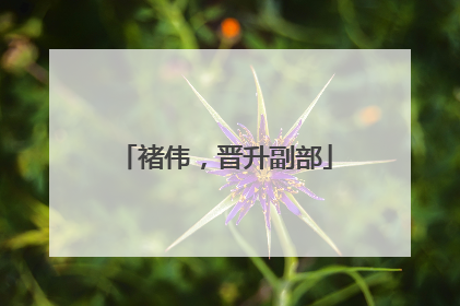 褚伟，晋升副部